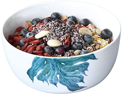 Grosse Porzellan Müslischale Suppenschale Reisschale Servierschale im 4er Set 600ml Ø15,5 cm Design Green Love