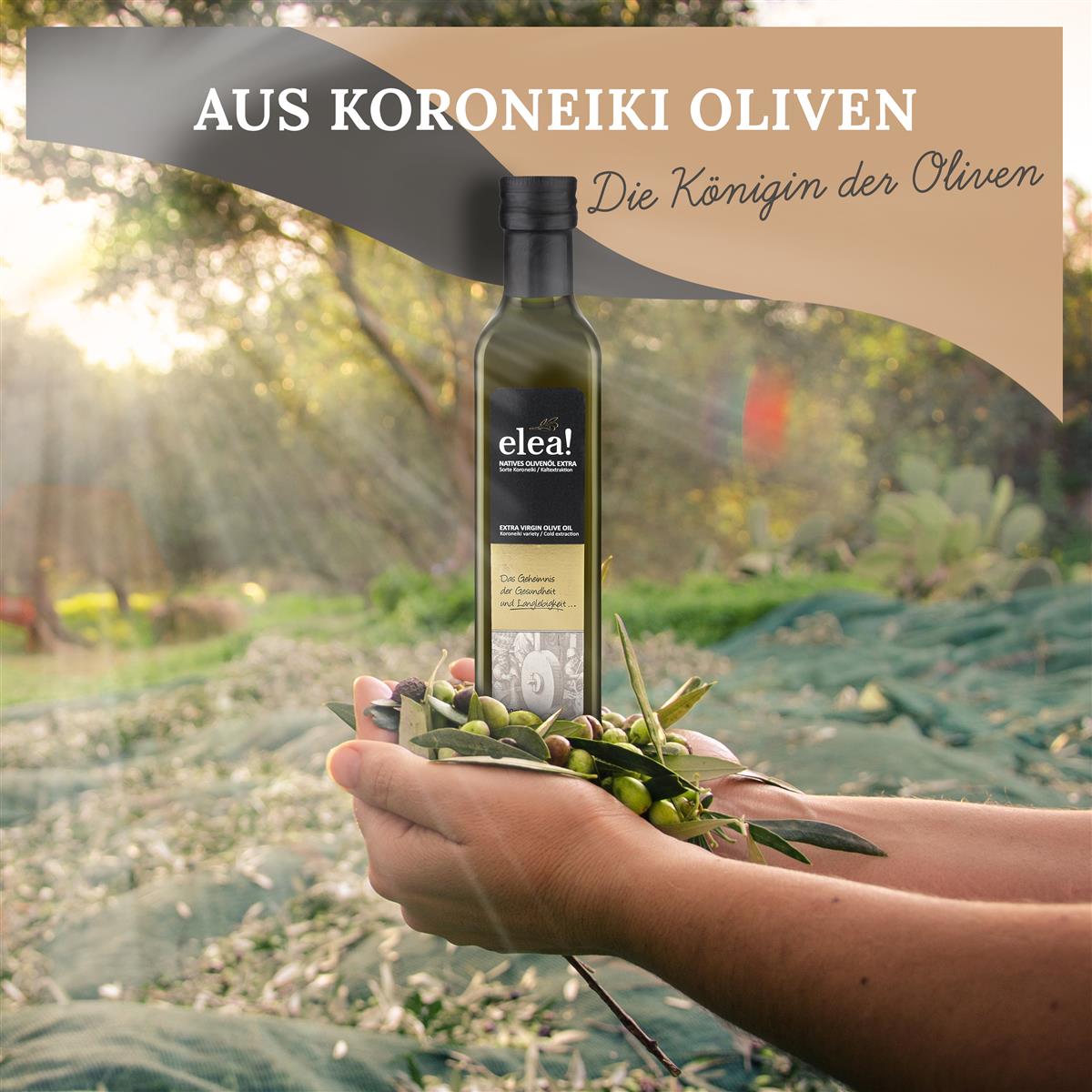 elea! Premium Olivenöl nativ extra - Koroneiki / Kaltextraktion aus Kreta