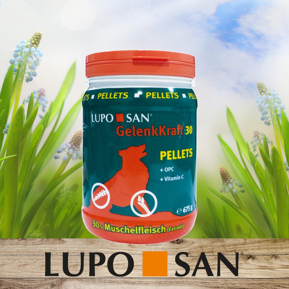 LUPOSAN GelenkKraft 30 Pellets 675 g