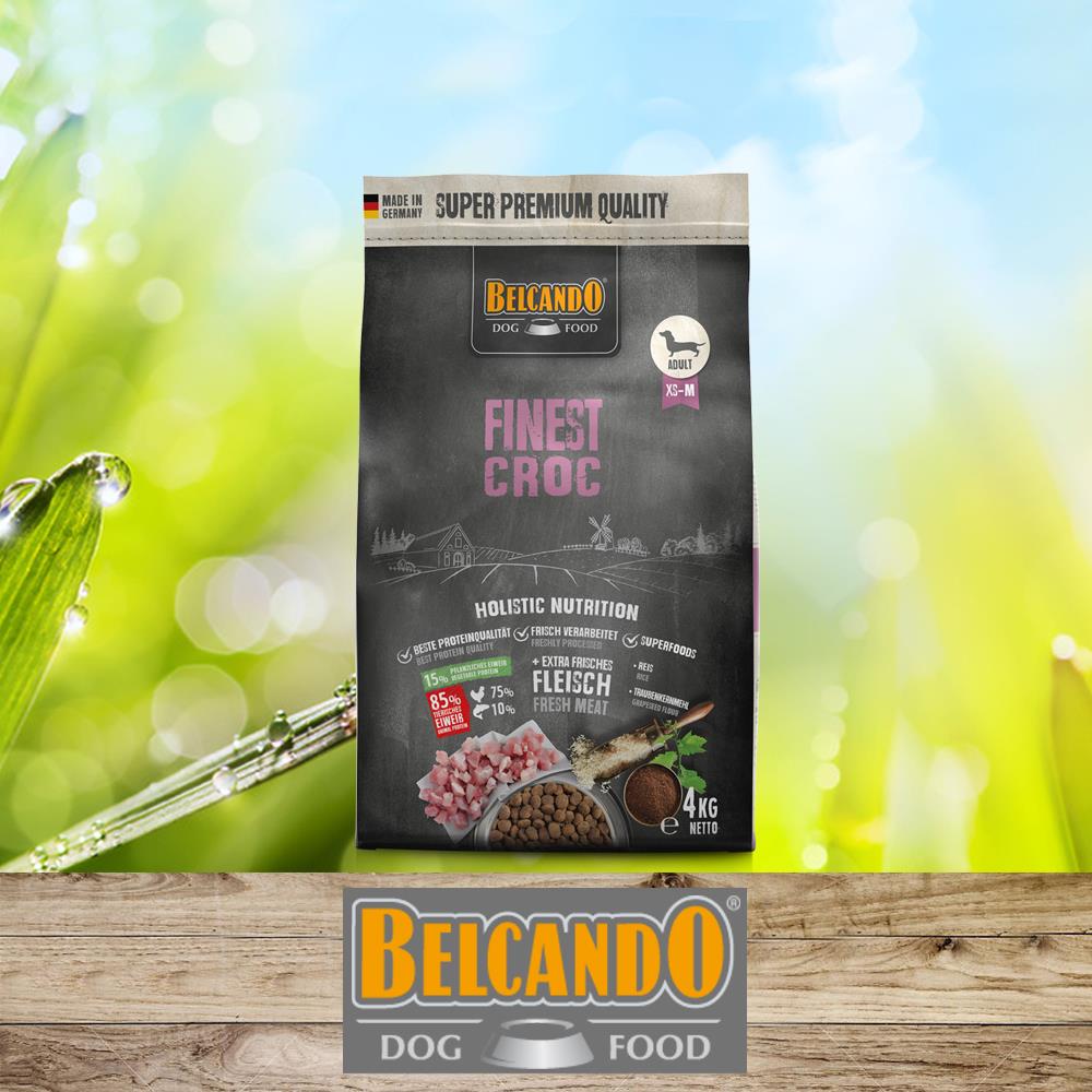 BELCANDO Finest Croc