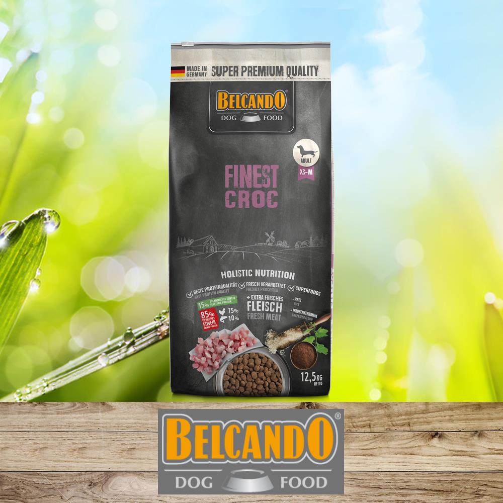 BELCANDO Finest Croc