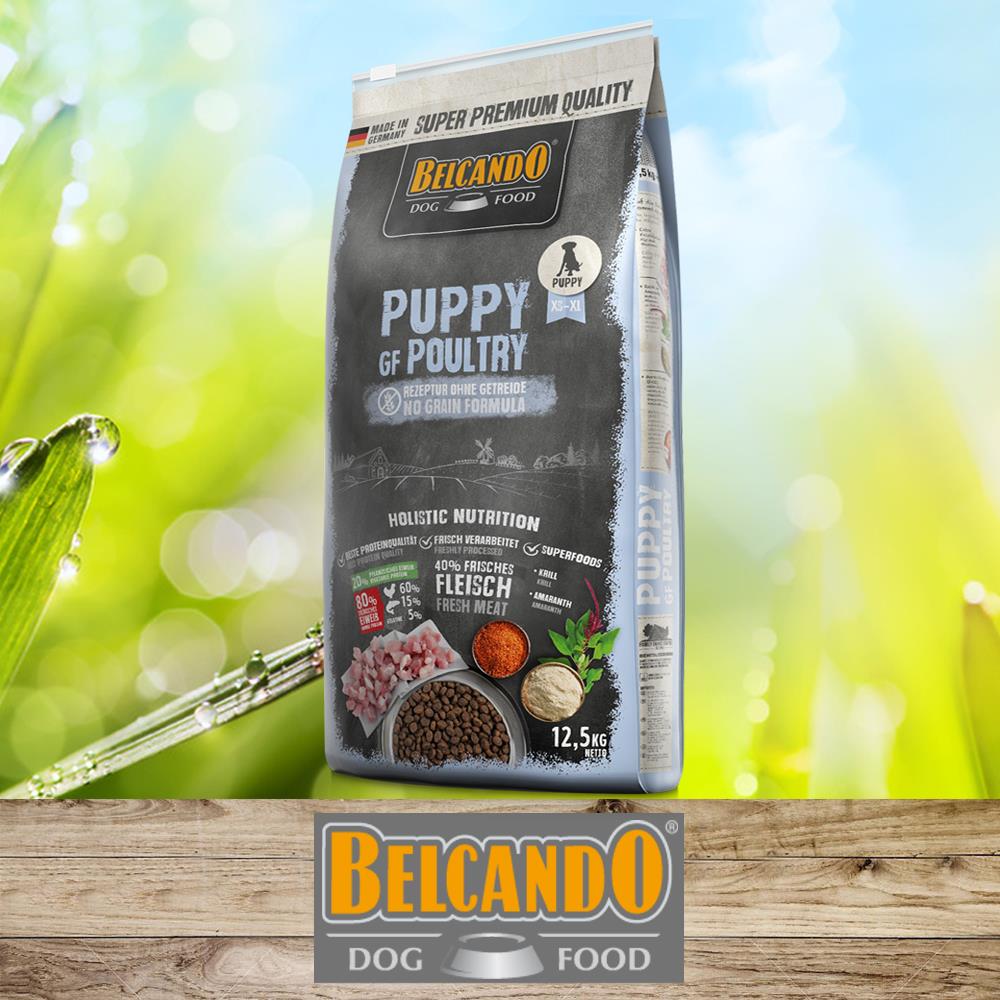 BELCANDO Puppy GF Poultry (Geflügel)