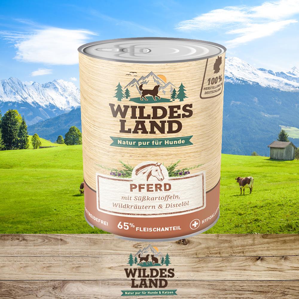 Wildes Land Pferd
