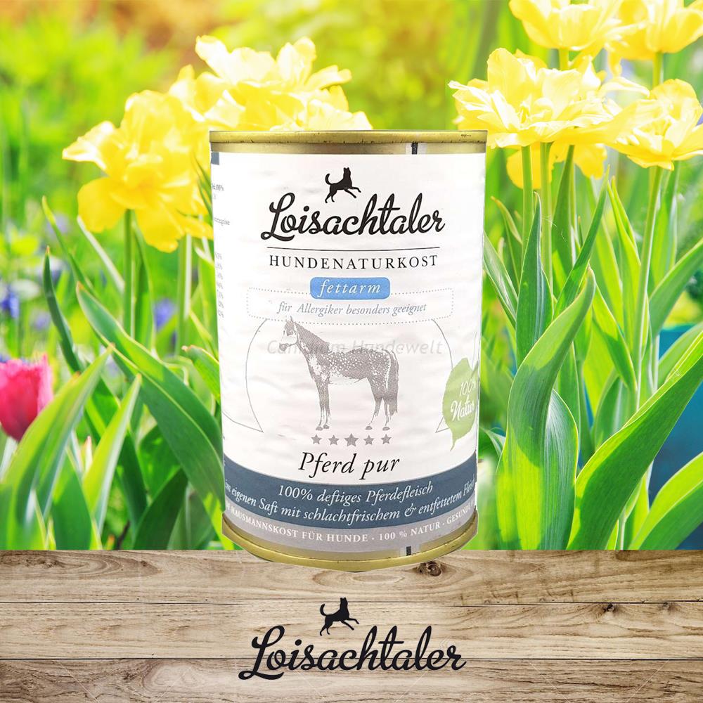 Loisachtaler Pferd pur