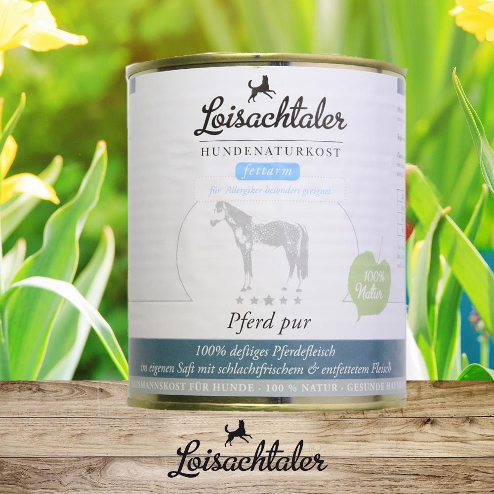 Loisachtaler Pferd pur