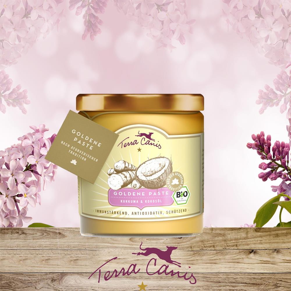 Terracanis Goldene-Paste 250 ml