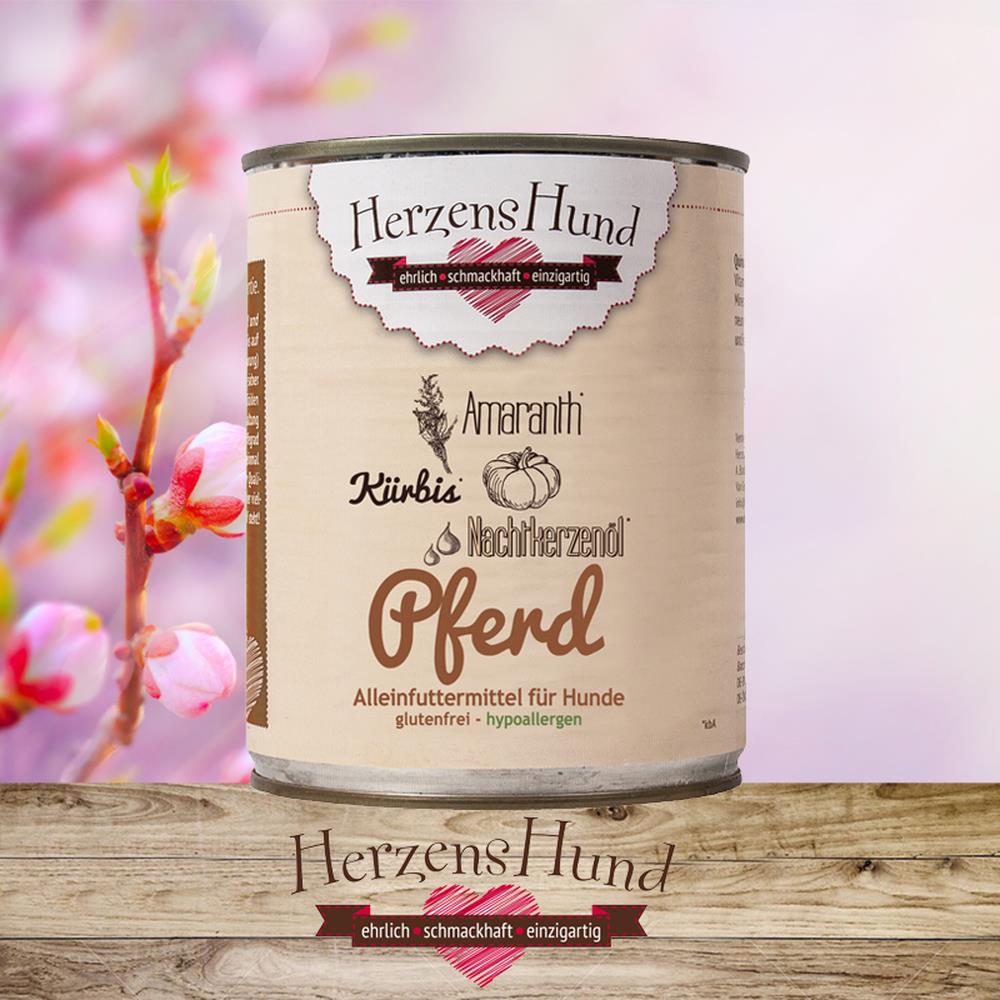 HerzensHund Pferd mit Bio-Gemüse