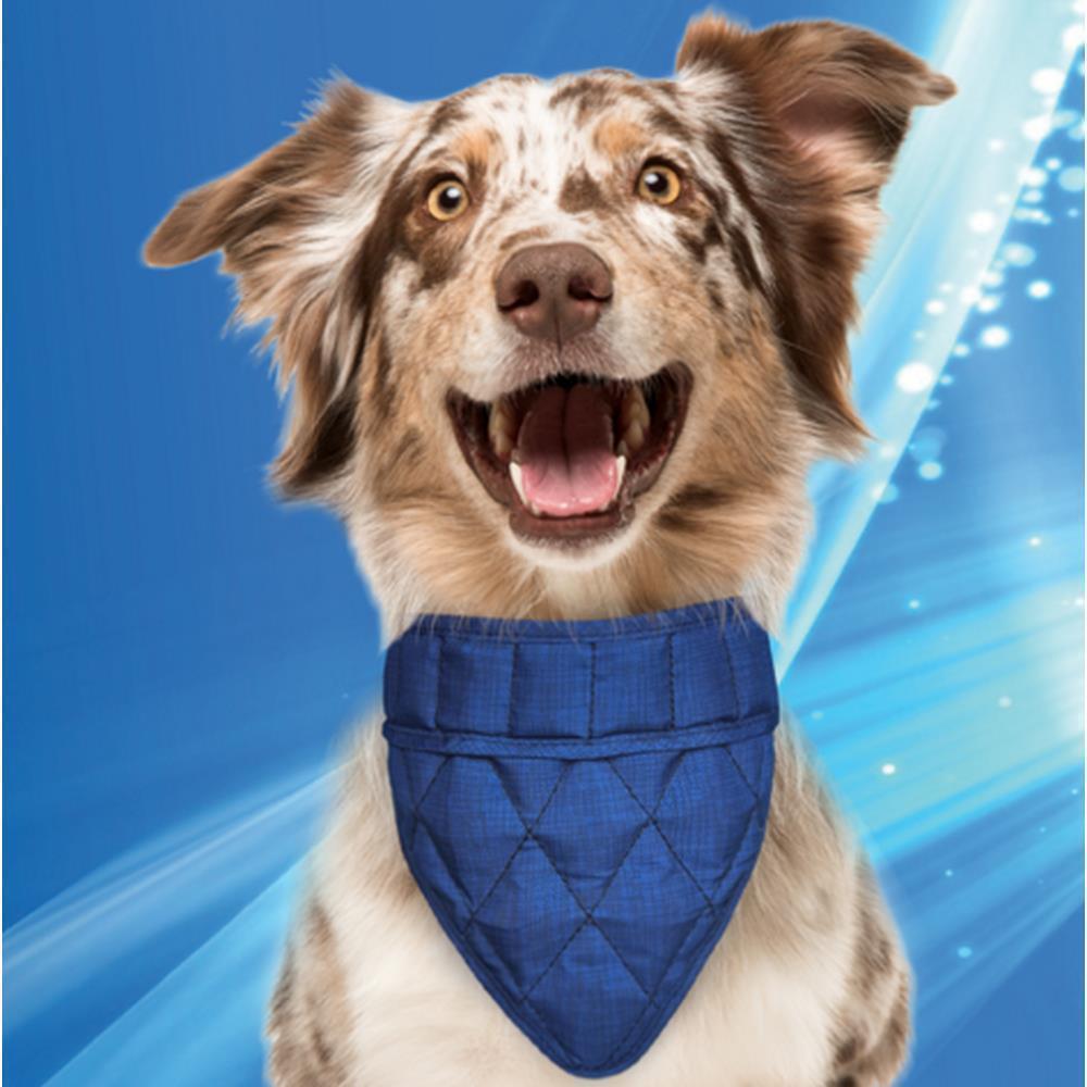 Aqua Cool Keeper Bandana Roses XL (61-70cm)