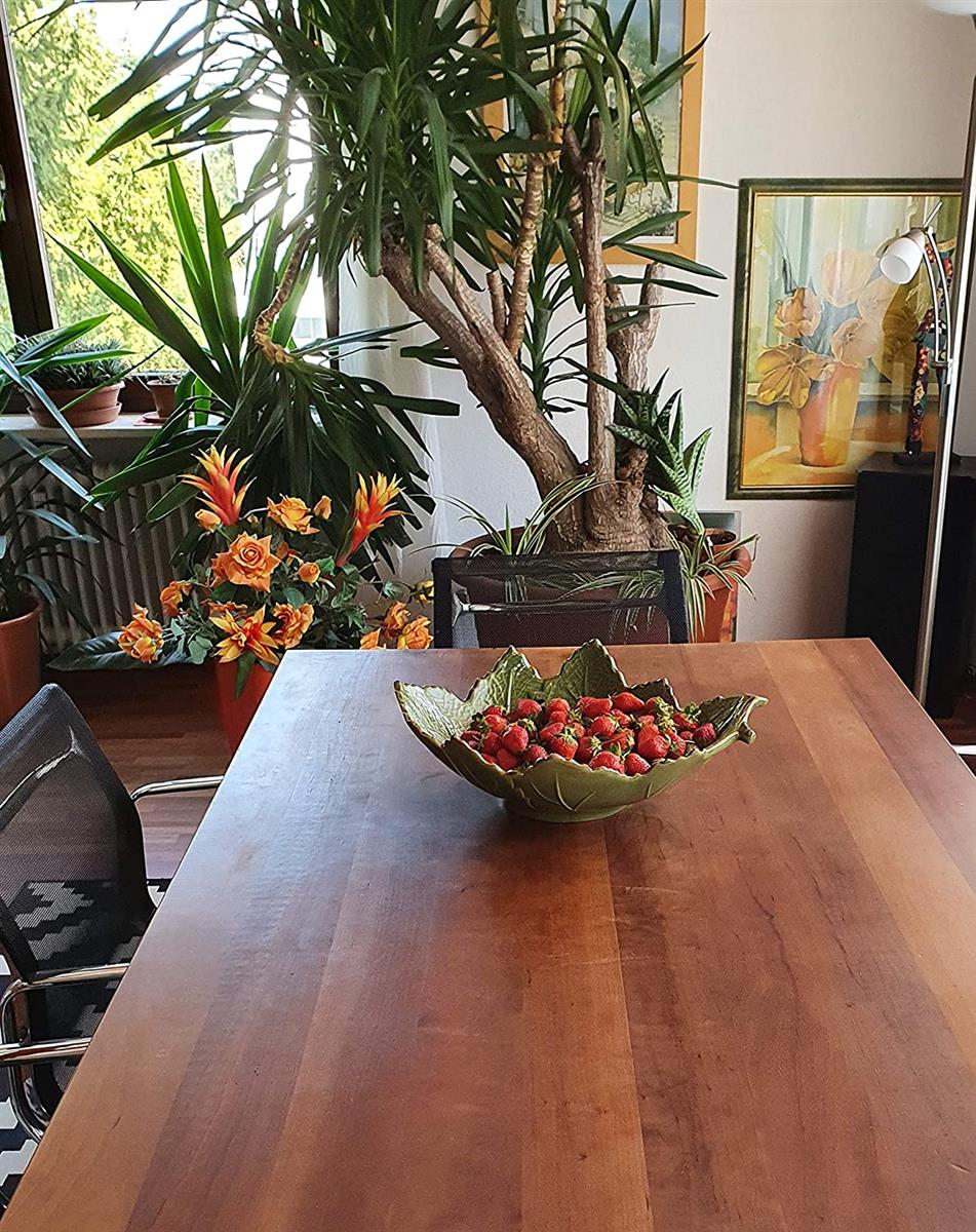 Grosse Obstschale Servierschale Dekoschale aus Keramik - Blattform Dekorativ Mediterraner Stil