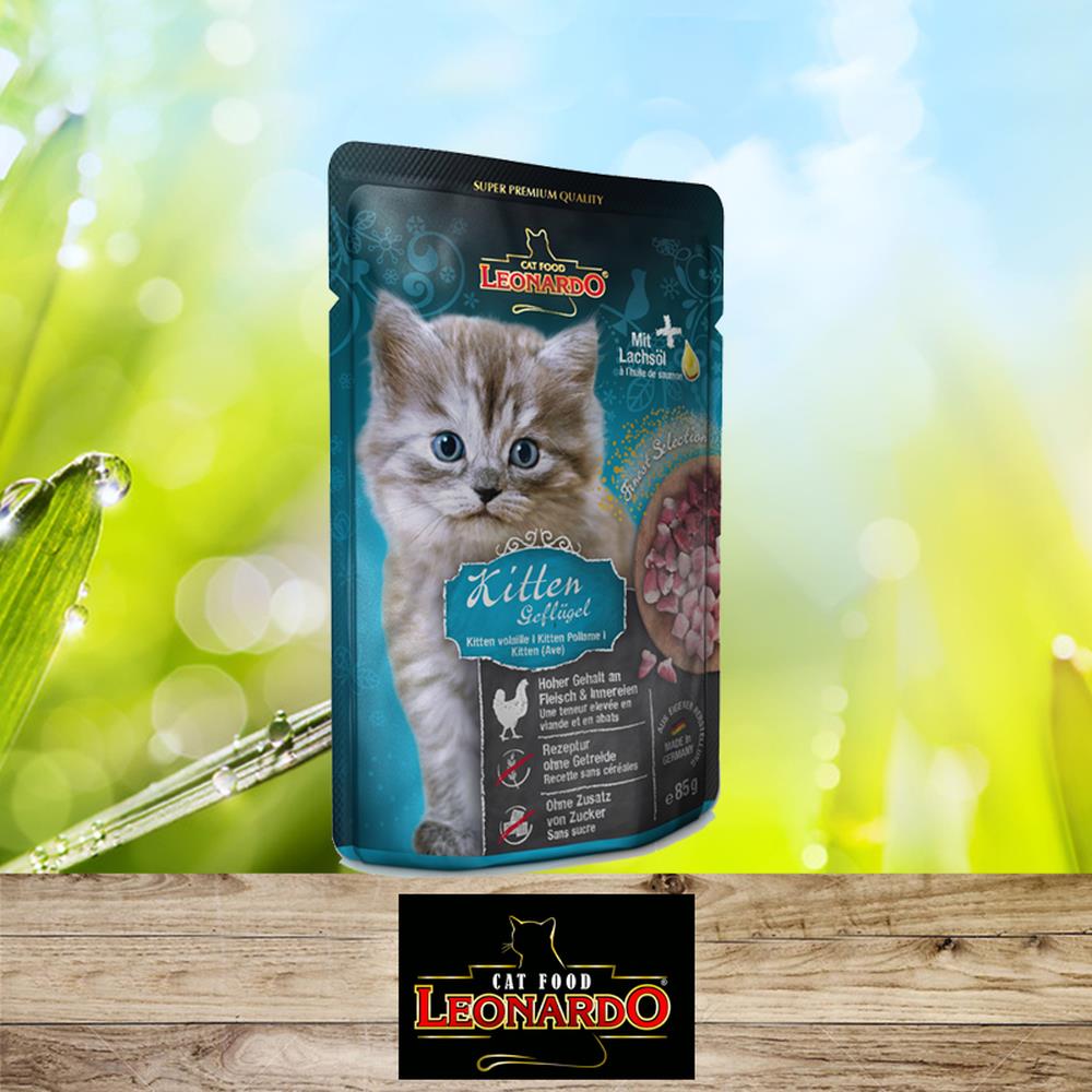 Leoanrdo Kitten, Geflügel