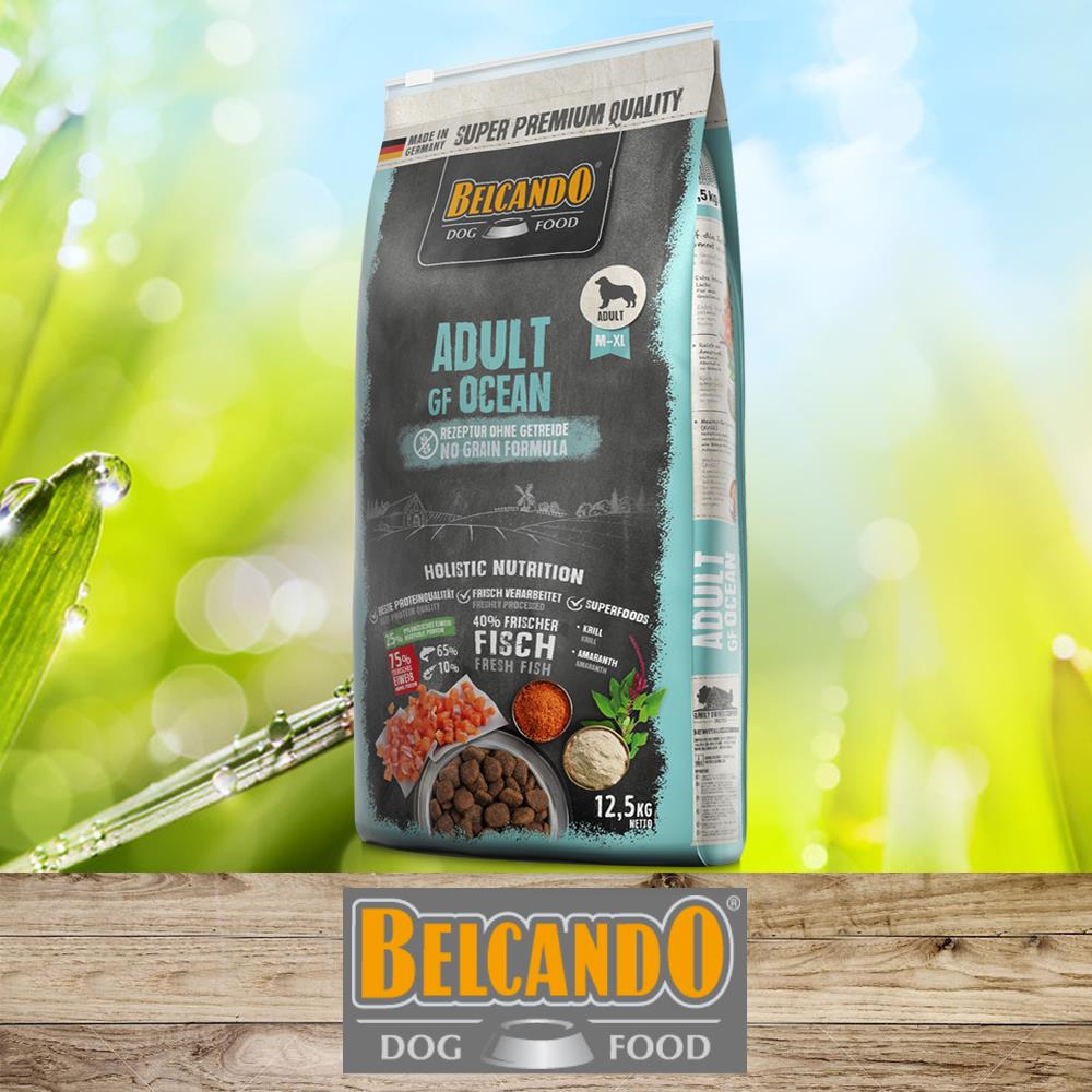 BELCANDO  Adult GF Ocean