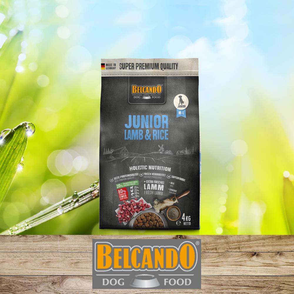 BELCANDO  Junior Lamb &amp; Rice