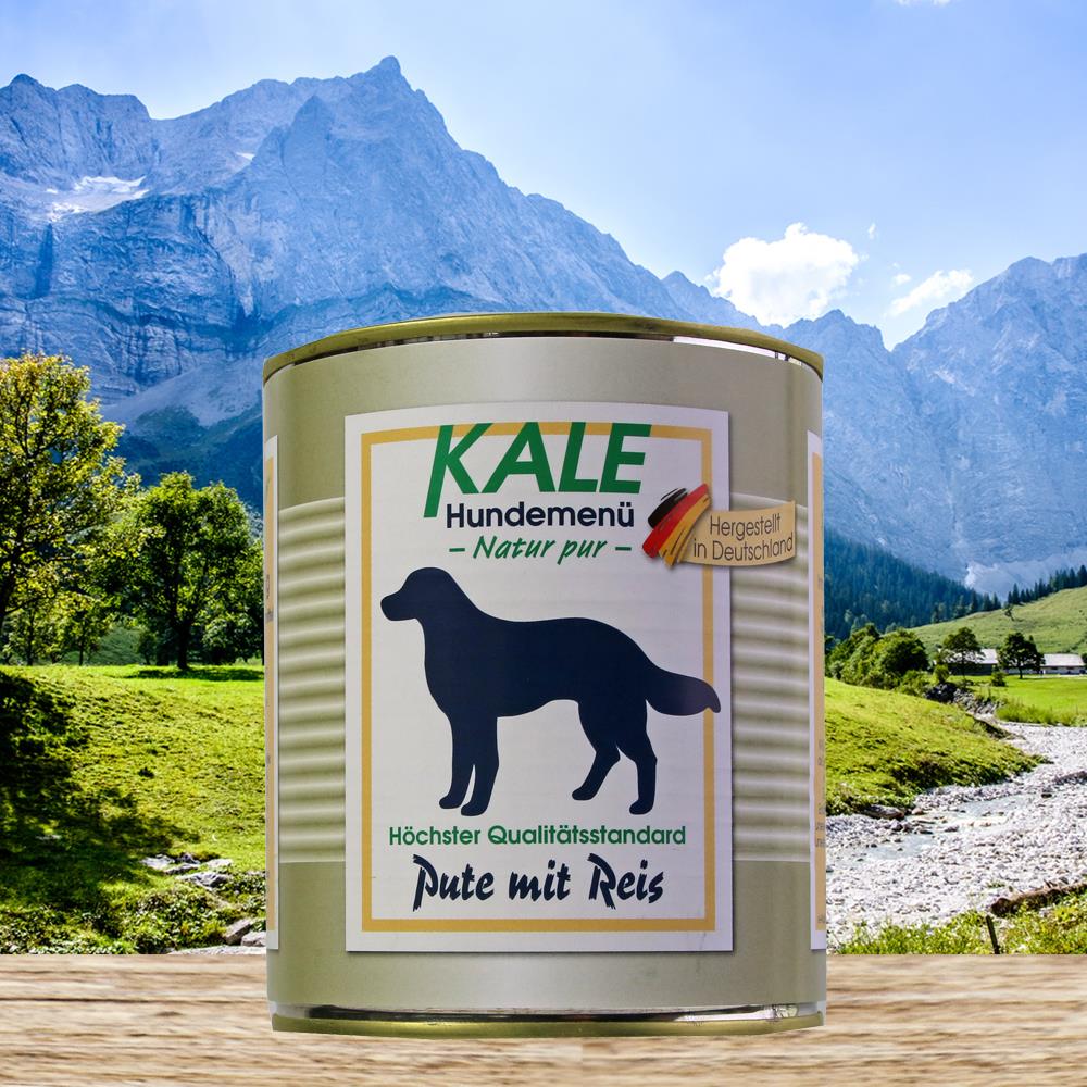 KALE Pute mit Reis