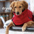dryup cape Hundebademantel XXL Red Pepper