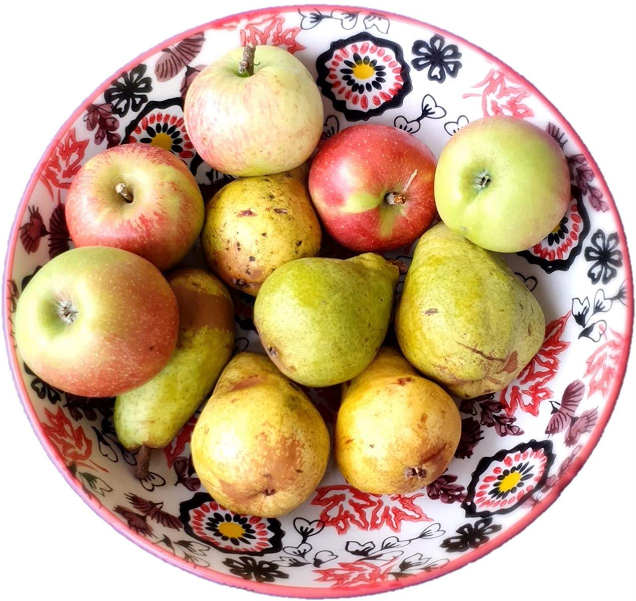 Bunte Servierschale aus Keramik - Salatschüssel mit rot brauner Bemalung Geeignet als Servierschüssel für Beilagen, Snacks oder Obstschüssel