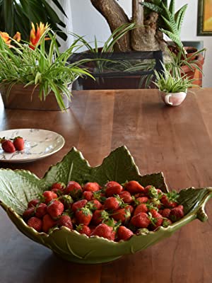 Grosse Obstschale Servierschale Dekoschale aus Keramik - Blattform Dekorativ Mediterraner Stil